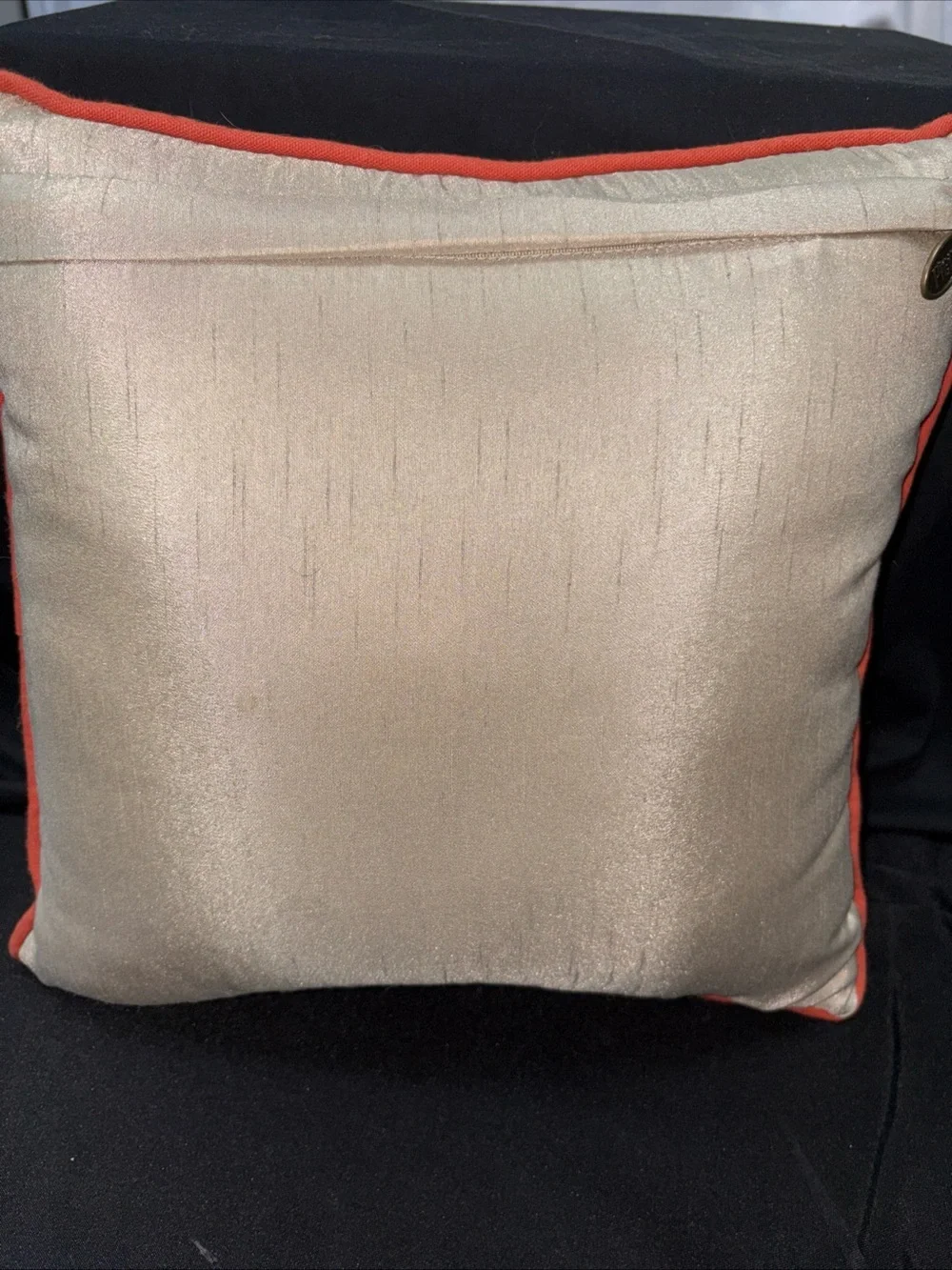 Pier 1 Black Labrador with Orange Scarf Embroidered Accent Pillow